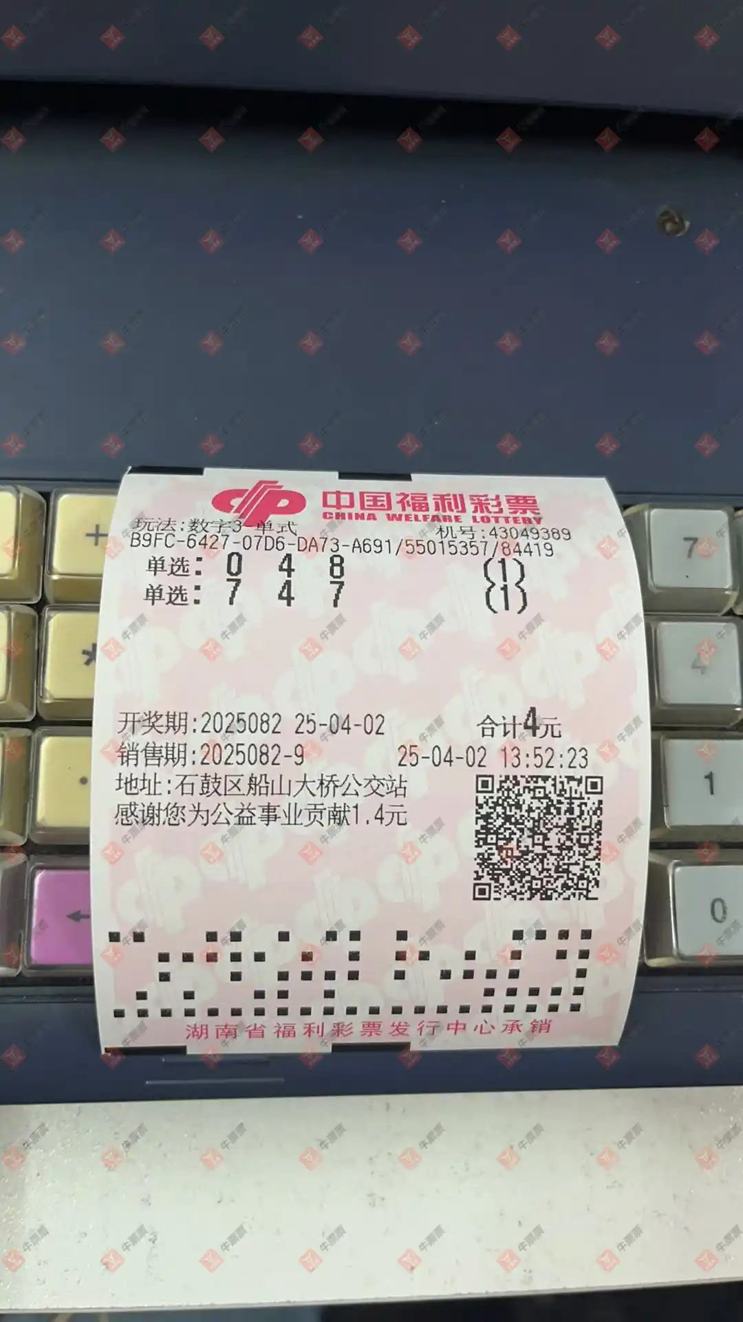 [3D] 25082ڣΪһн⡣954 / :ĺ / ID:1030730