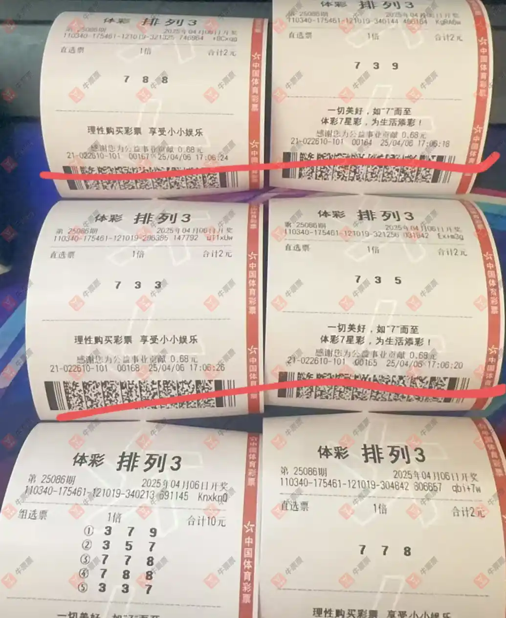 [] 25086ڣ_724825ɹƱ846 / :_724825 / ID:1032922