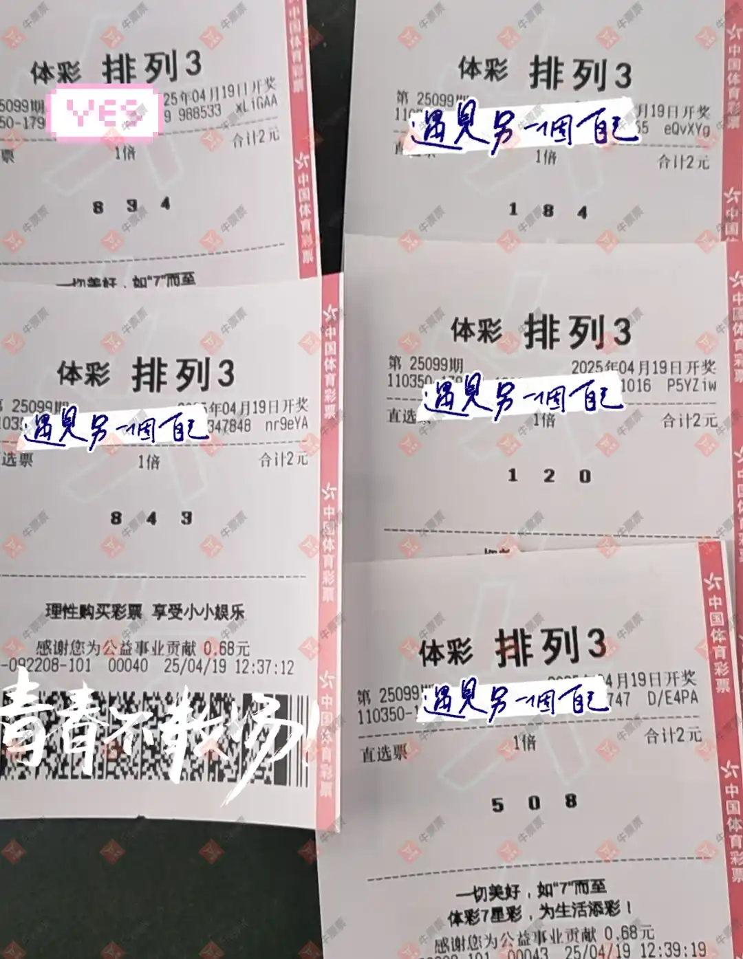 [] 25099ڣ̦ɹƱ433 / :̦ / ID:1040265