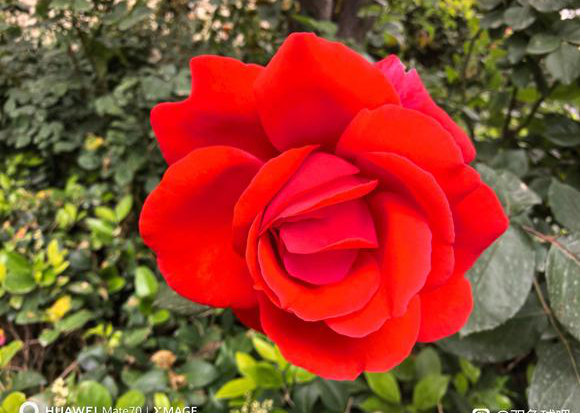 [˫ɫ��] 25055�ڣ�̫�����ˣ�ȷʵ����ʧǰ�㡣909 / ����:��׷�Ҹ� / ����ID:1056084