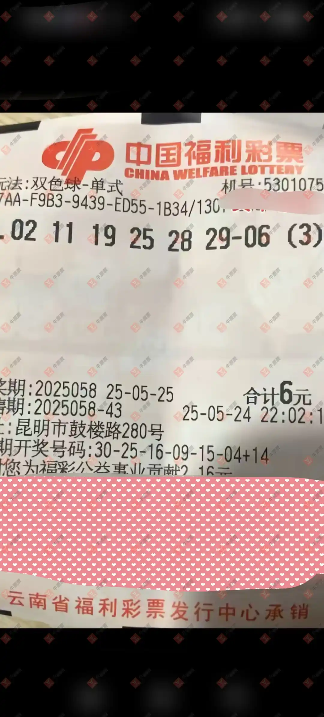 [˫ɫ] 25058ڣû9153ɹƱ582 / :û9153 / ID:1061424