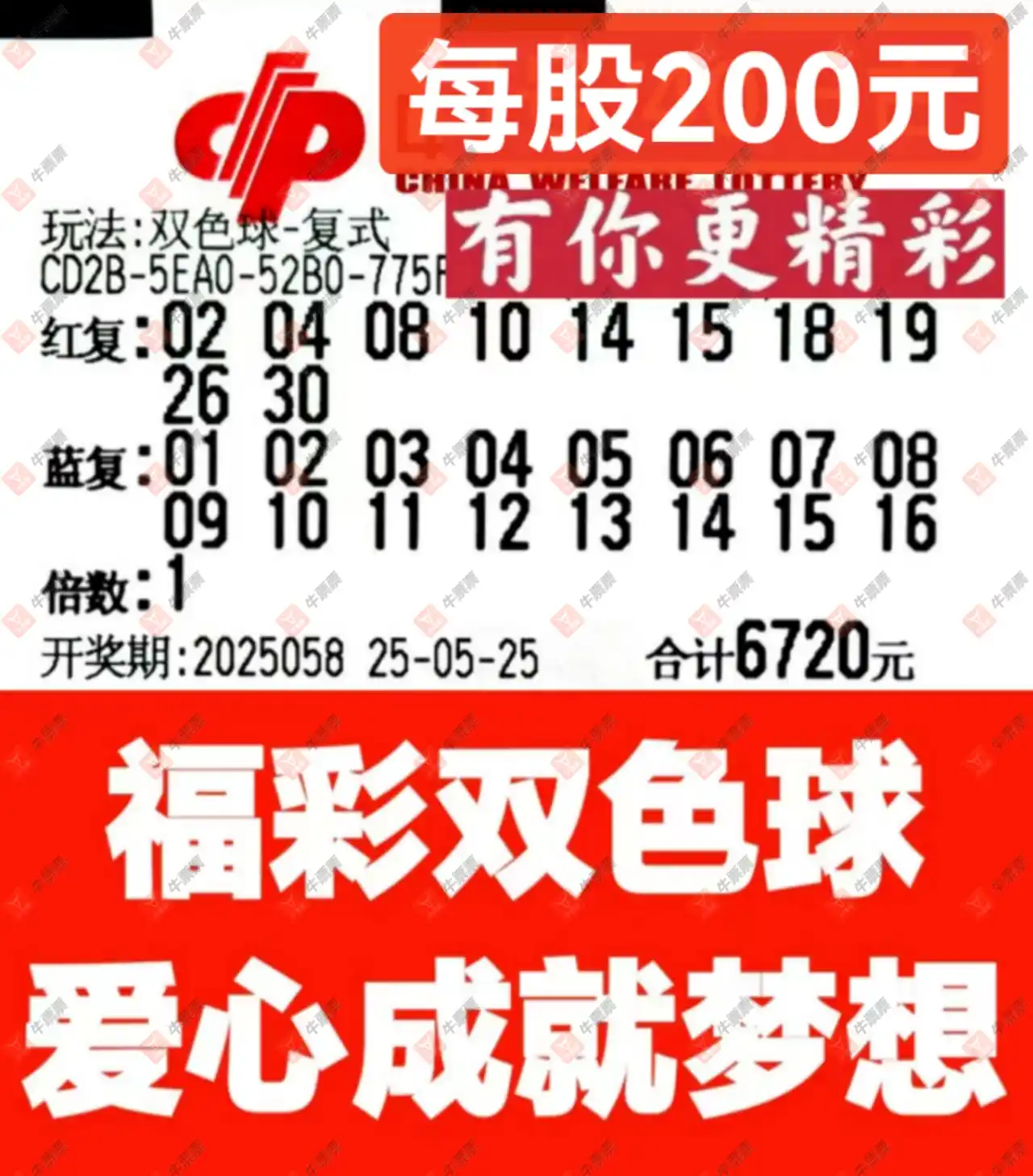 [˫ɫ] 25058ڣ²˽ɹƱ970 / :² / ID:1061494