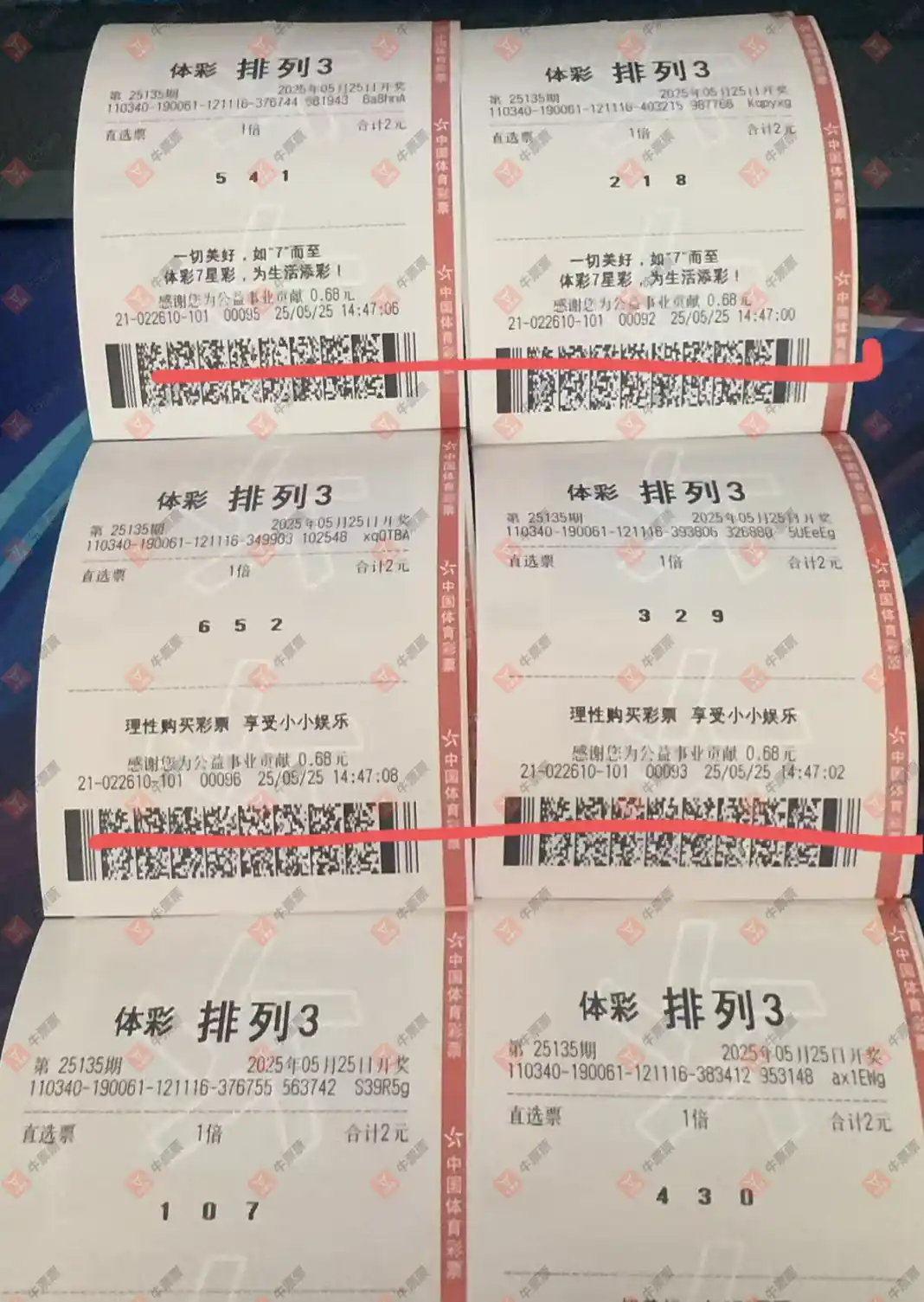 [] 25135ڣ_423138ɹƱ563 / :_423138 / ID:1061485