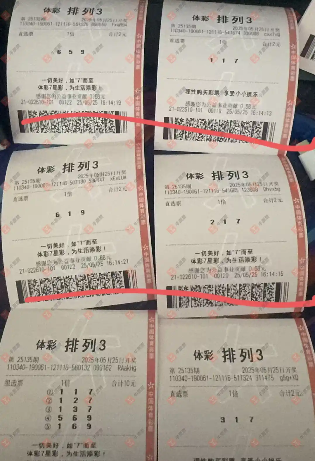 [] 25135ڣ_423138ɹƱ307 / :_423138 / ID:1061485