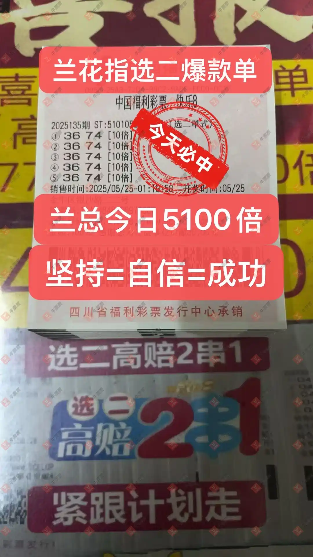 [8] 25135ڣ̦ѡ781 / :̦ / ID:1061496