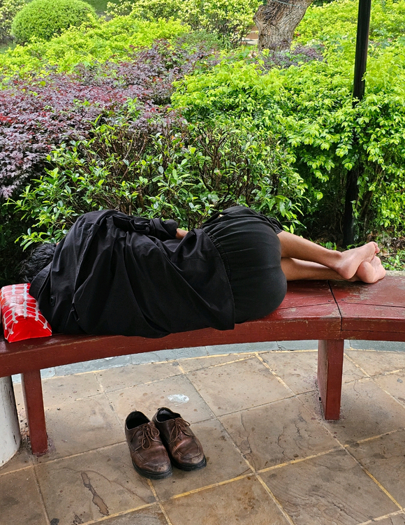 [˫ɫ��] 25062�ڣ�����˯���Ű���˯����������������ô��575 / ����:��׷�Ҹ� / ����ID:1066729