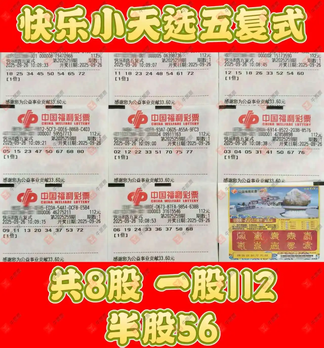 [8] 25259ڣĺɹƱ770 / :ĺ / ID:1135356