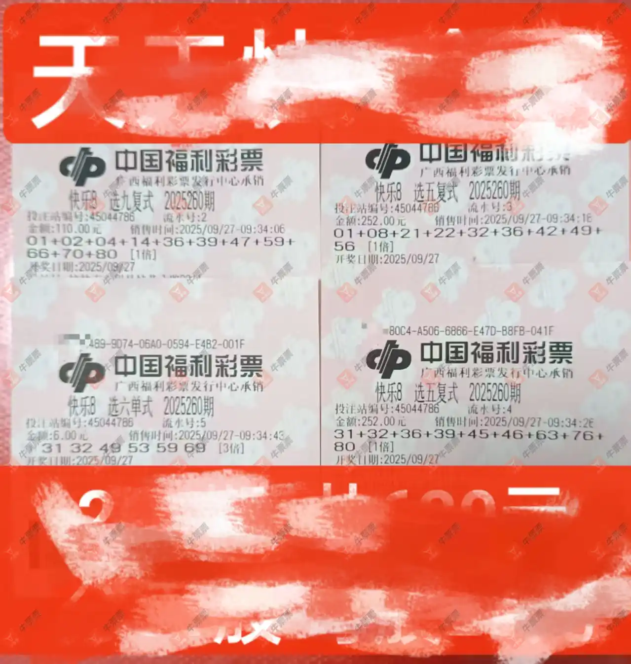 [8] 25260ڣ8ɹƱռǣ935 / :麽 / ID:1135815