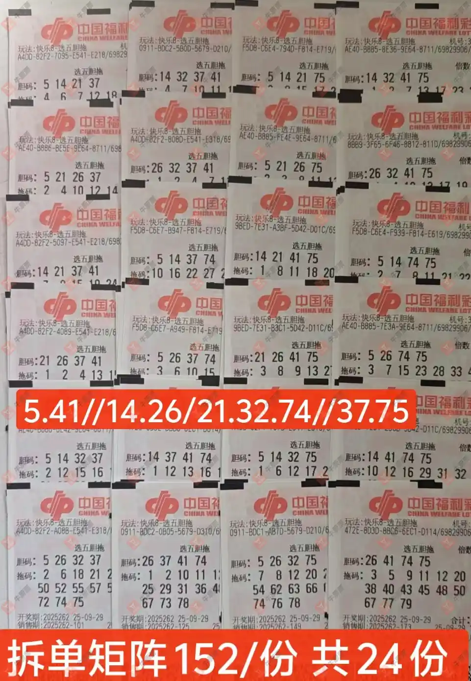 [8] 25262ڣʵƱοɲ81 / :̦ / ID:1137150