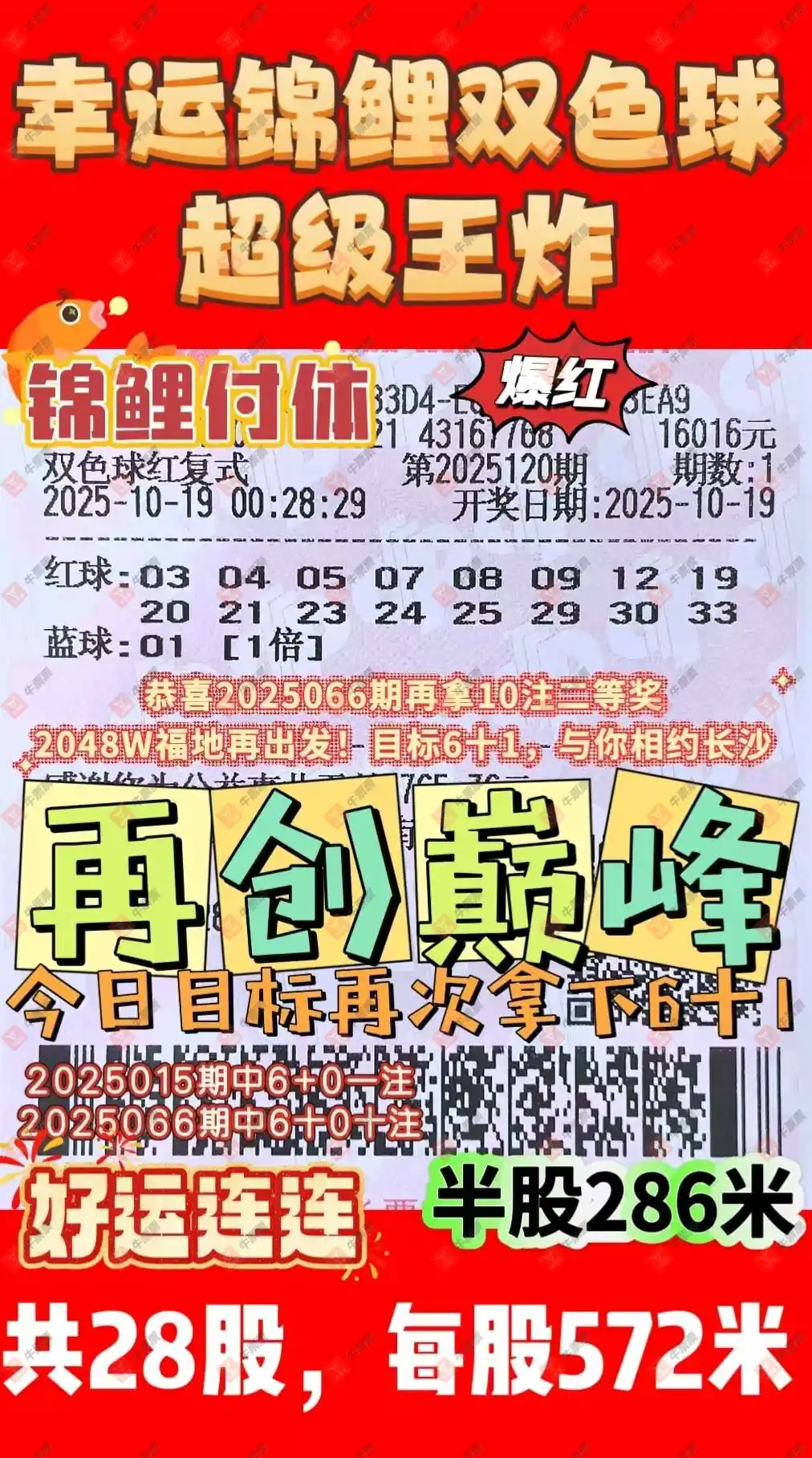 [˫ɫ] 25120ڣһĨ 649 / :һĨ / ID:1146530