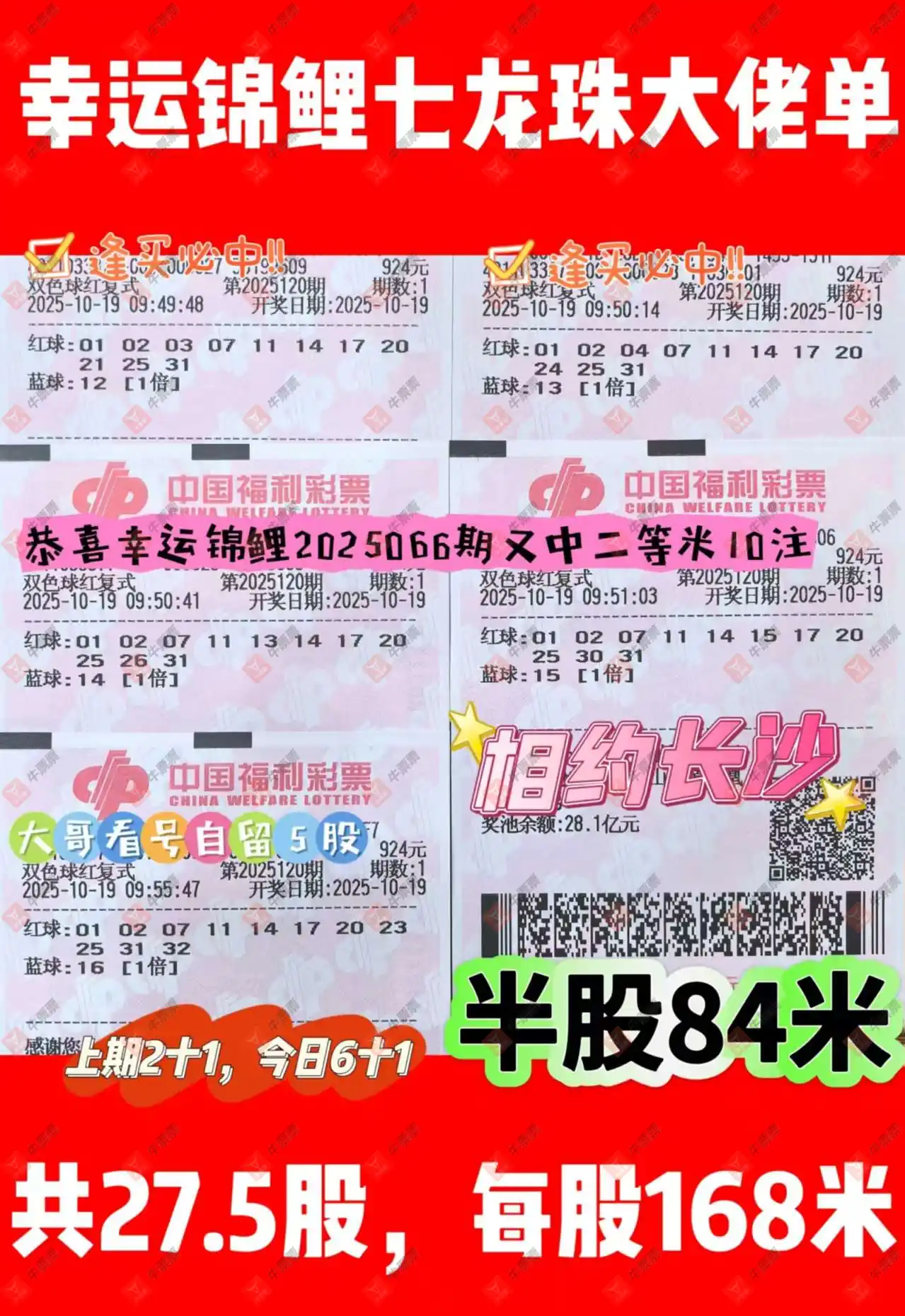 [˫ɫ] 25120ڣһĨ 791 / :һĨ / ID:1146530