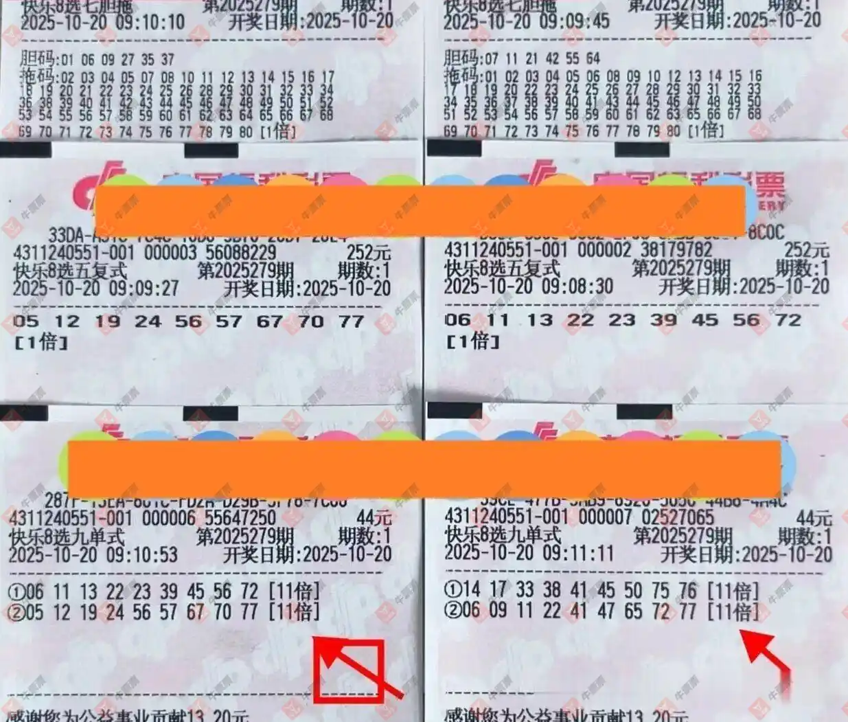 [8] 25279ڣڴʵı306 / :ĺ / ID:1147194