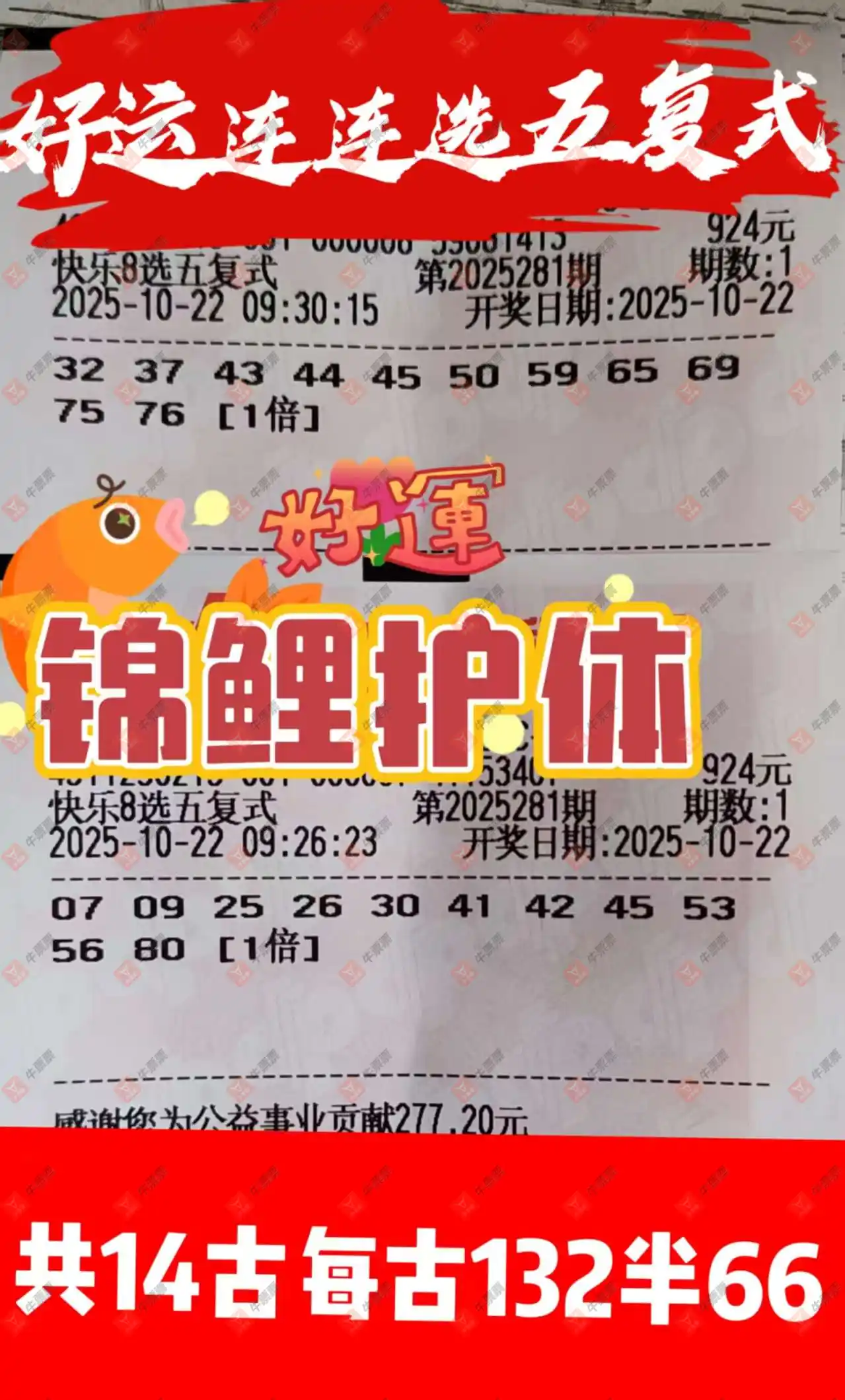 [8] 25281ڣ 424 / :ǻ֮ / ID:1148242