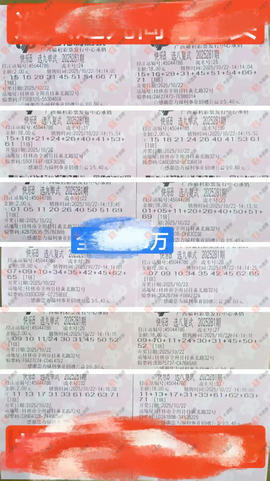 [8] 25281ڣʽʽƱ725 / :ĺ / ID:1148320