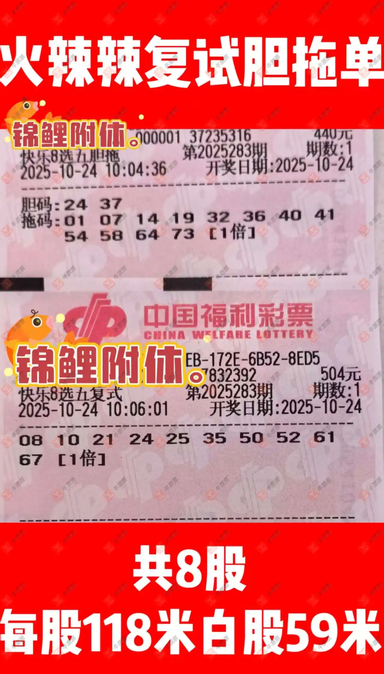 [8] 25283ڣĽѡ819 / :Ľ / ID:1149489