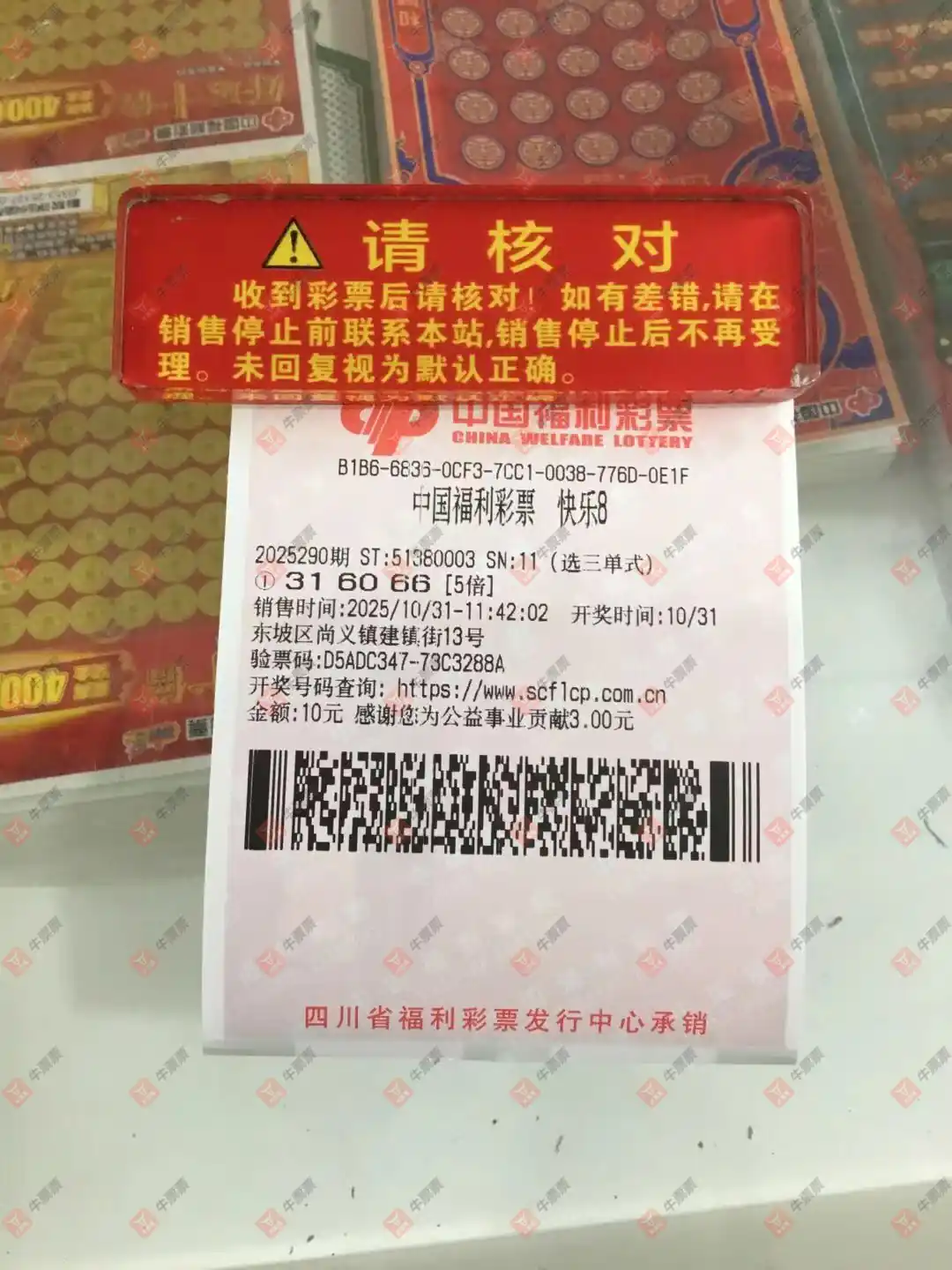 [8] 25290ڣѡʽ306 / :̦ / ID:1153596