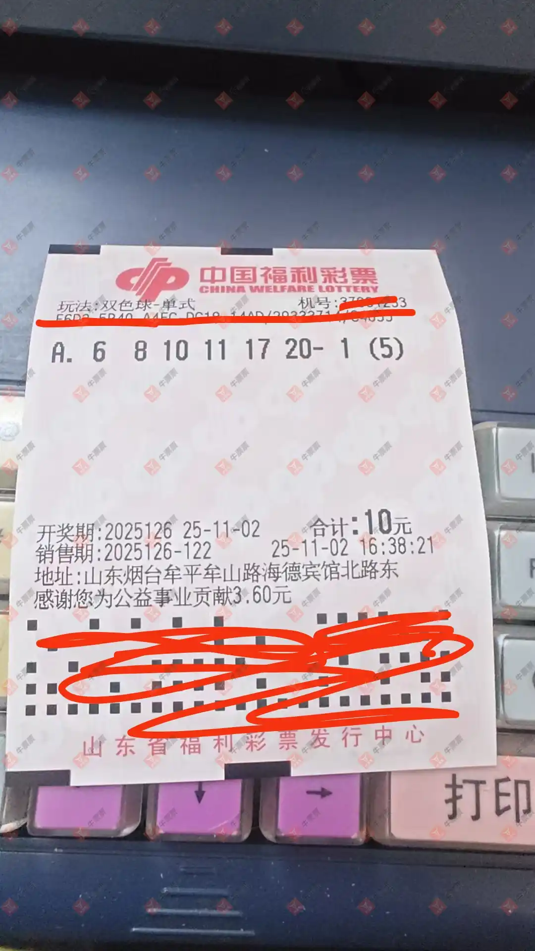 [˫ɫ] 25126ڣƱϴ һݾϲ319 / :Ʊϴ / ID:1154818