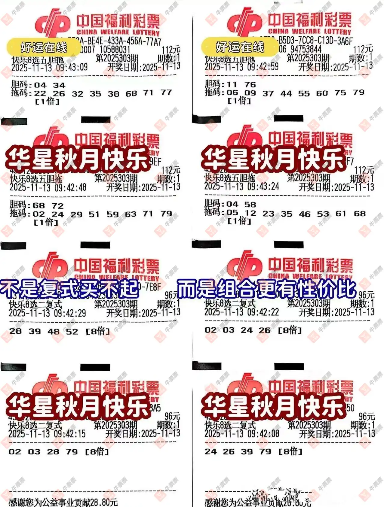 [8] 25303ڣһĨɹƱ74 / :һĨ / ID:1161302