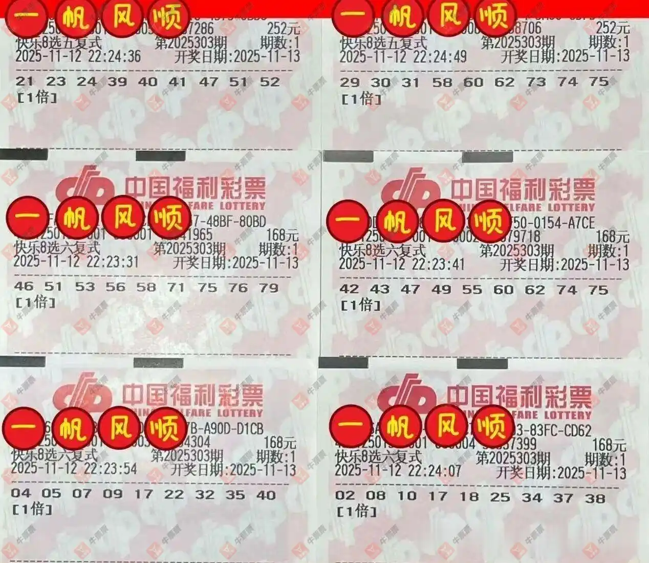 [8] 25303ڣһĨɹƱ855 / :һĨ / ID:1161302