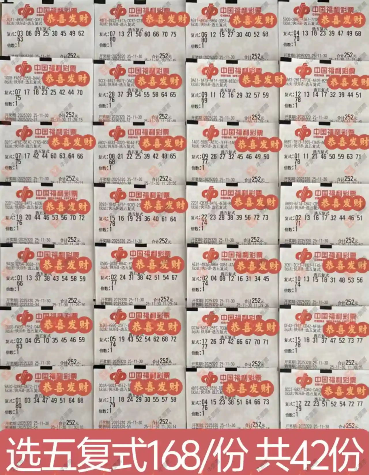 [8] 25320ڣʵƱοɲ546 / :ǿ / ID:1171171