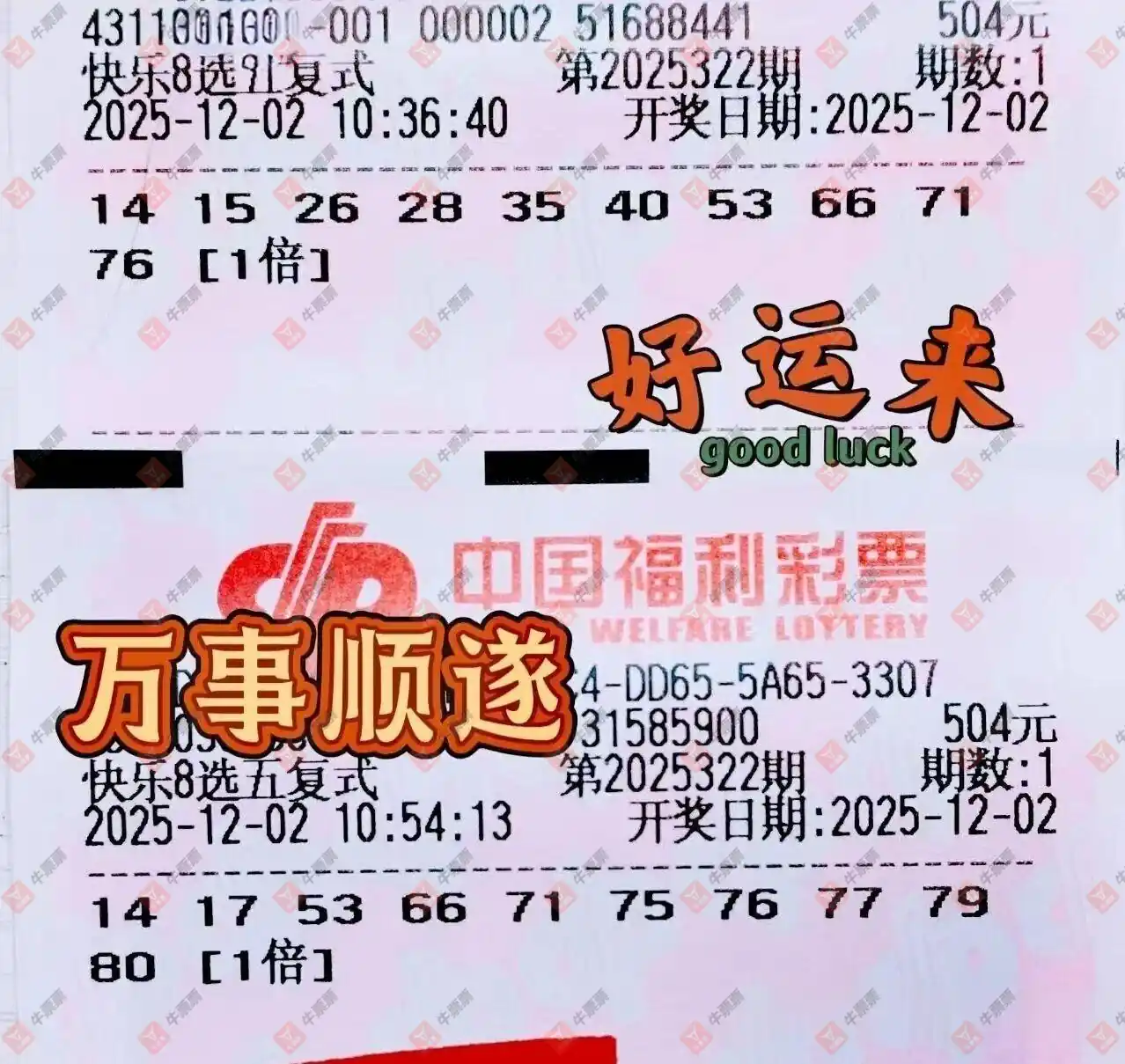 [8] 25322ڣƱϴɹƱ310 / :Ʊϴ / ID:1172457