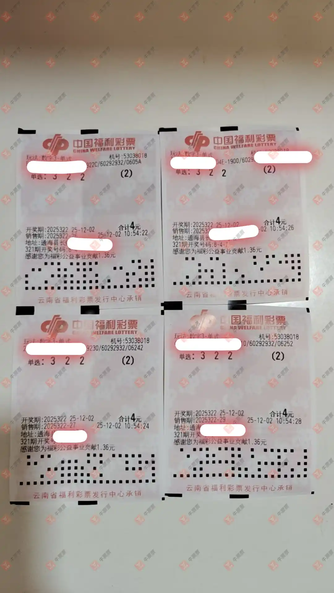 [3D] 25322ڣƱϴɹƱ870 / :Ʊϴ / ID:1172446