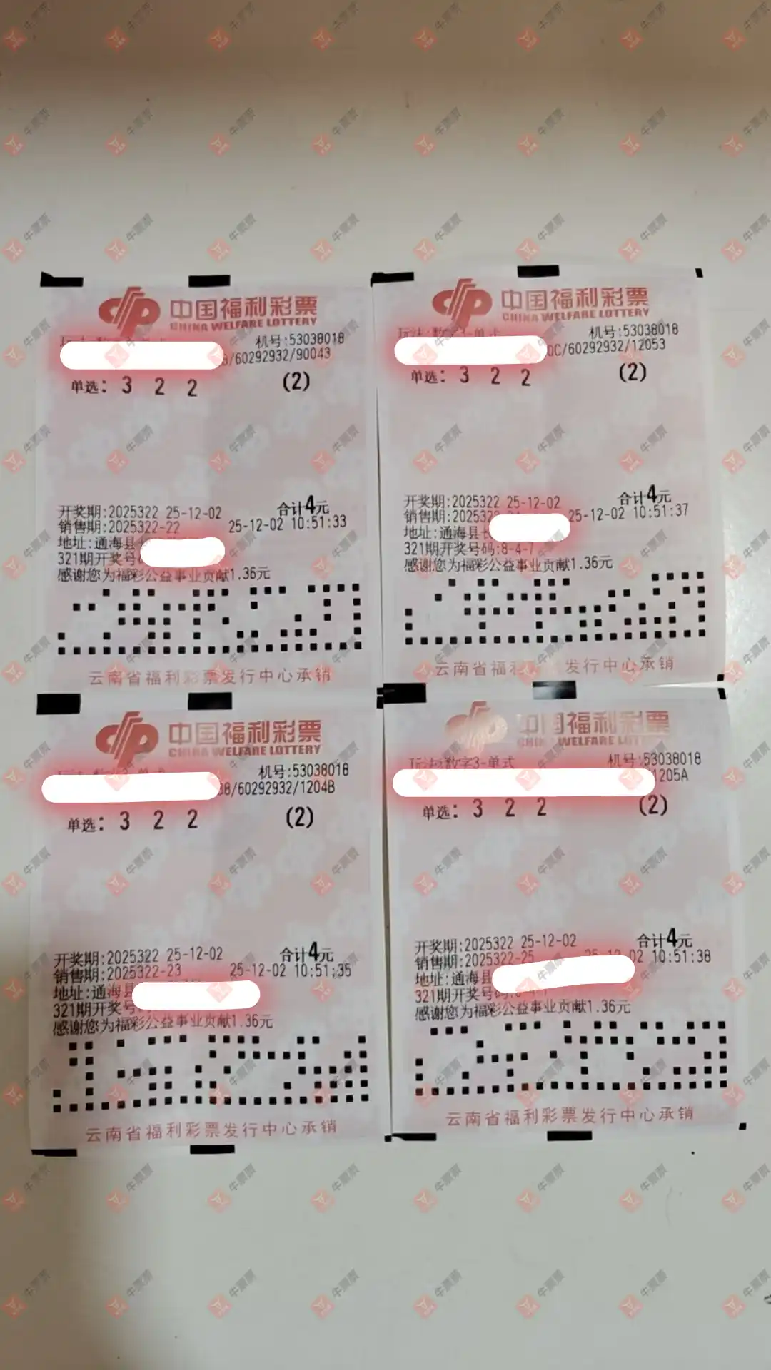 [3D] 25322ڣƱϴɹƱ517 / :Ʊϴ / ID:1172446