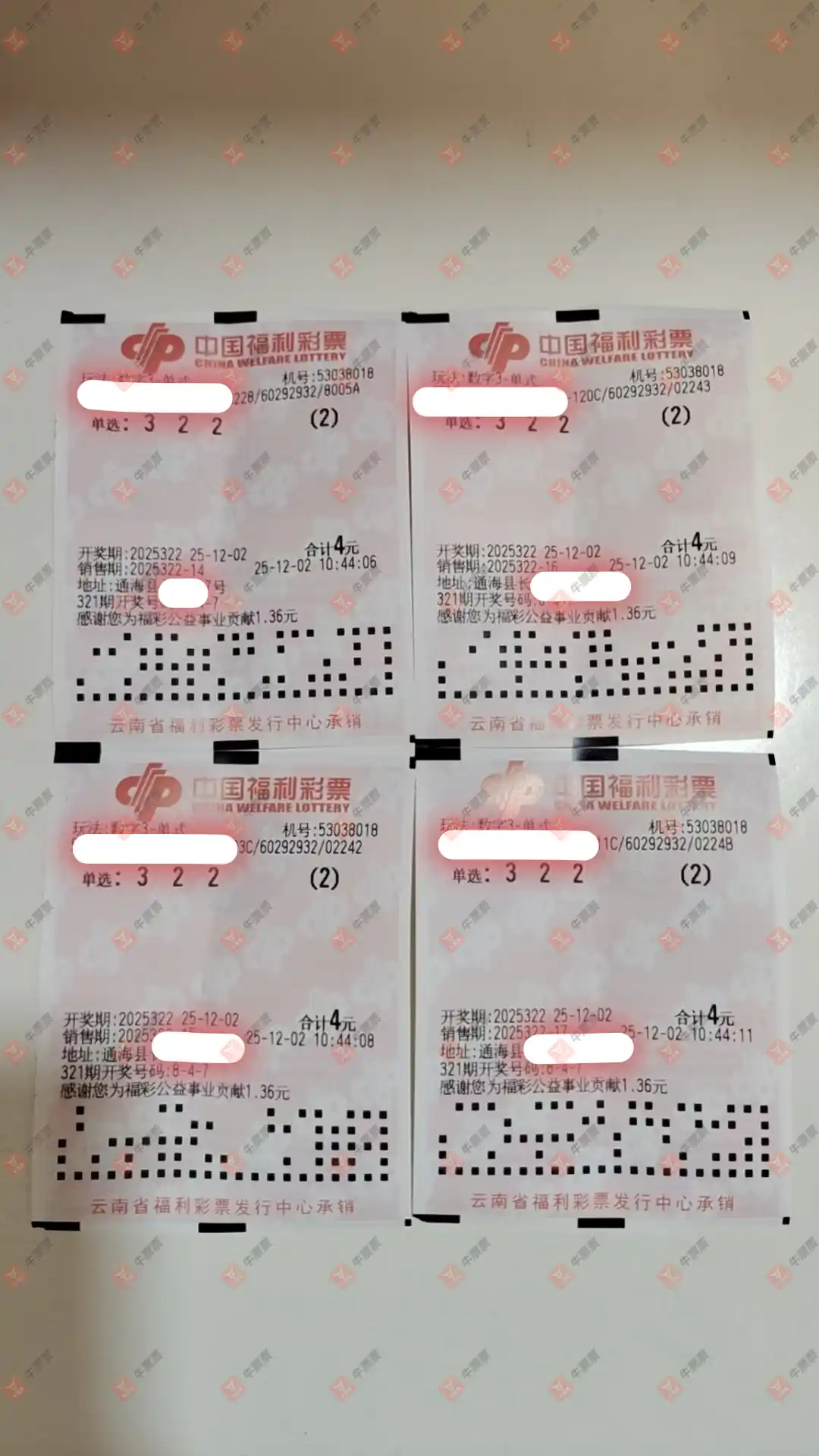 [3D] 25322ڣƱϴɹƱ463 / :Ʊϴ / ID:1172446