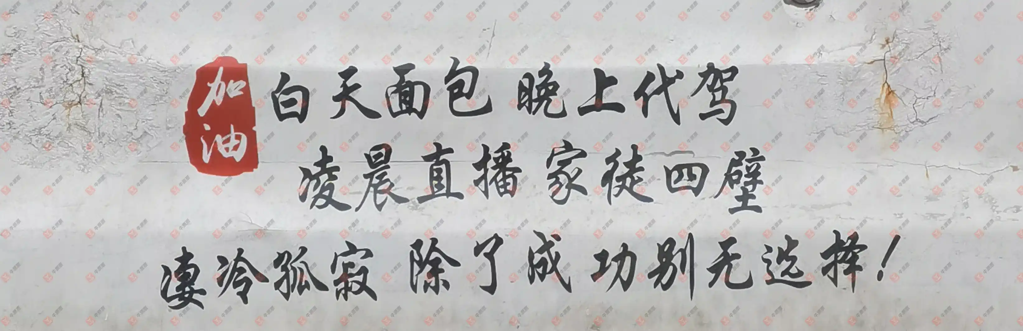 [˫ɫ] 25142ڣǿɹƱ993 / :ǿ / ID:1175788