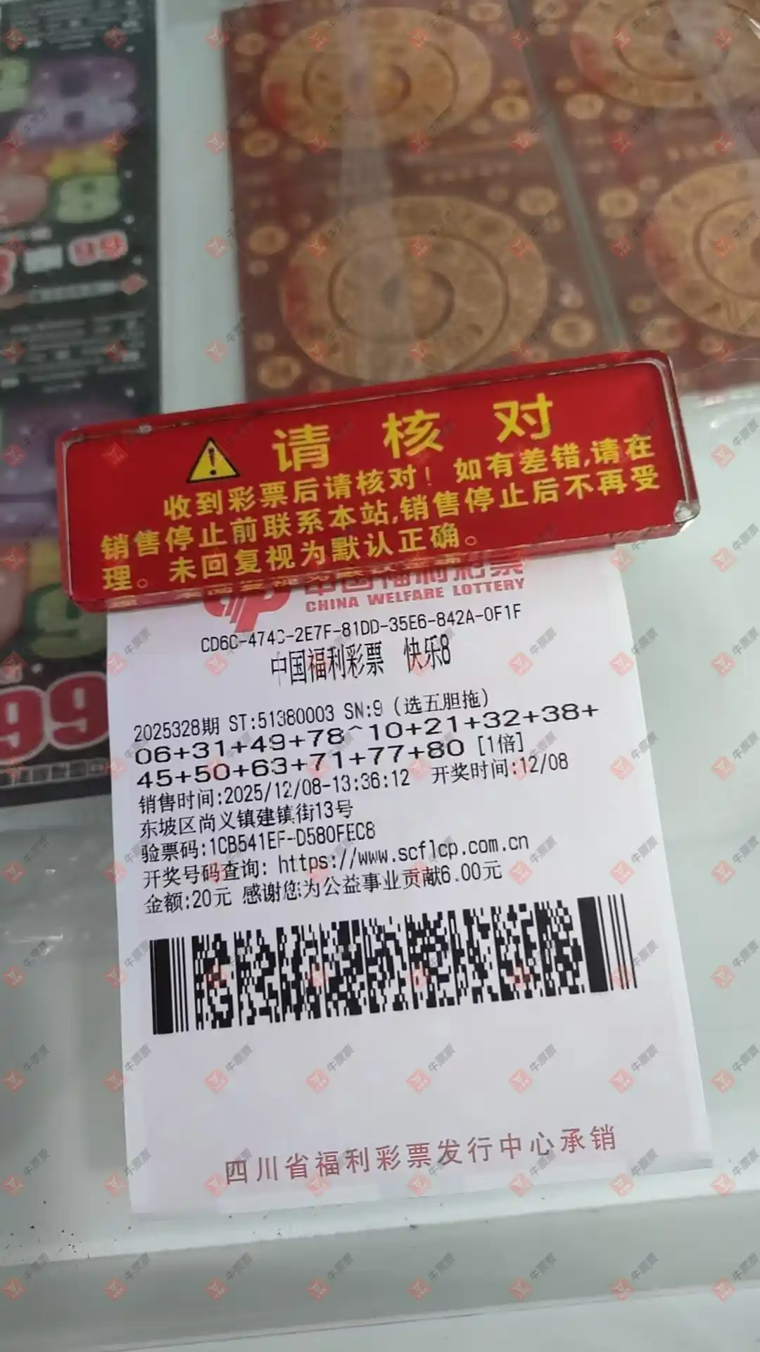 [8] 25328ڣѡ嵨 ο502 / :ǻ֮ / ID:1175901