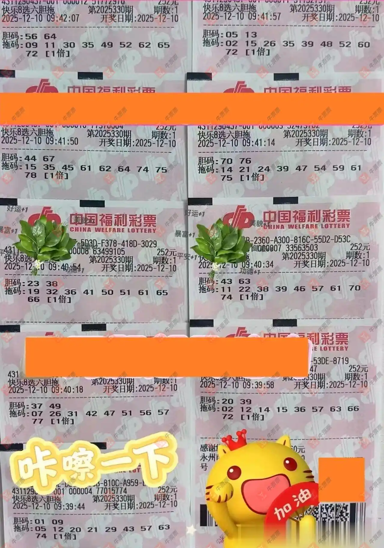 [8] 25330ڣ8ɹƱ񻶼˺489 / :Ľ / ID:1177120