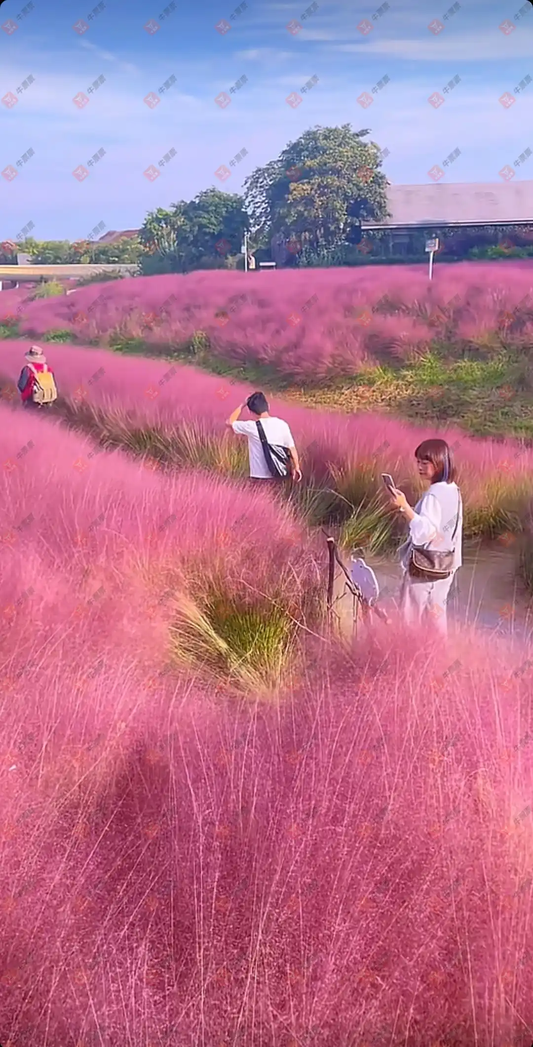 [˫ɫ��] 25144�ڣ�֪ʶ̽����  ���֪��312 / ����:֪ʶ̽���� / ����ID:1178853