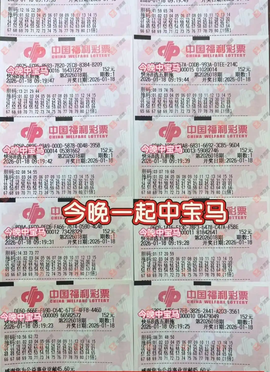 [����8] 26018�ڣ�ɹһɹ�ҵĿ���8���񵥡�89 / ����:��ľ΢�� / ����ID:1199373