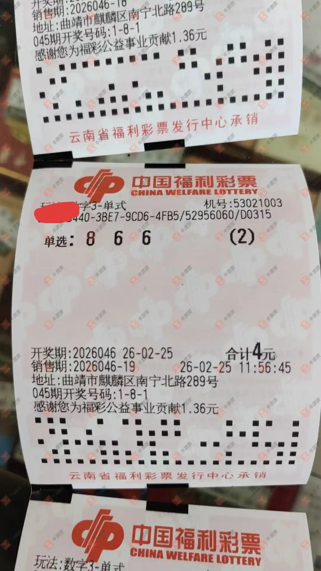 [����3D] 26046�ڣ�ĺ���������ɹƱ507 / ����:ĺ������ / ����ID:1215165