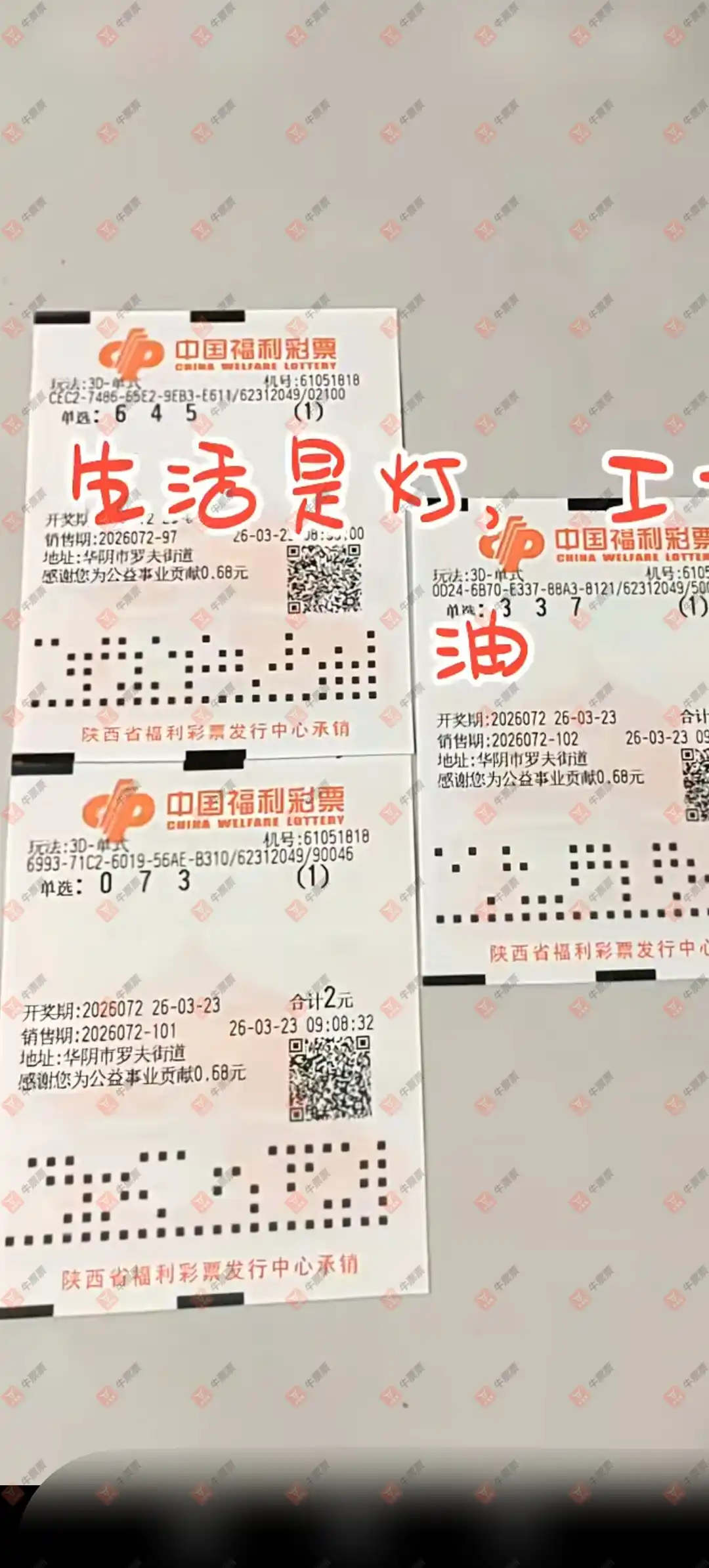 [����3D] 26072�ڣ����麽���ҽ���ɹƱ155 / ����:���麽���� / ����ID:1230058