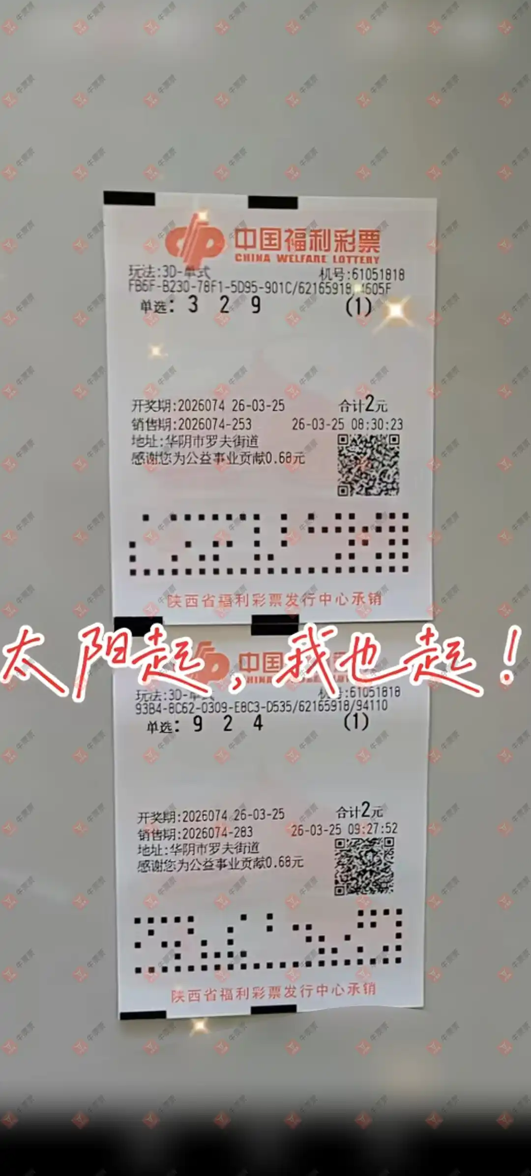 [˫ɫ��] 26033�ڣ��ǿ���������ɹƱ651 / ����:�ǿ����� / ����ID:1231211