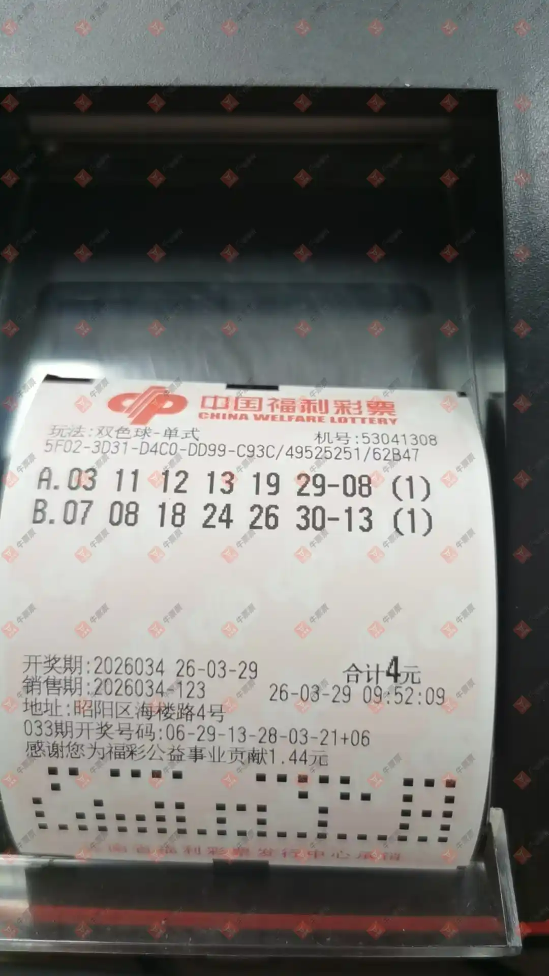 [˫ɫ��] 26034�ڣ�ĺ���������ɹƱ8 / ����:ĺ������ / ����ID:1233515