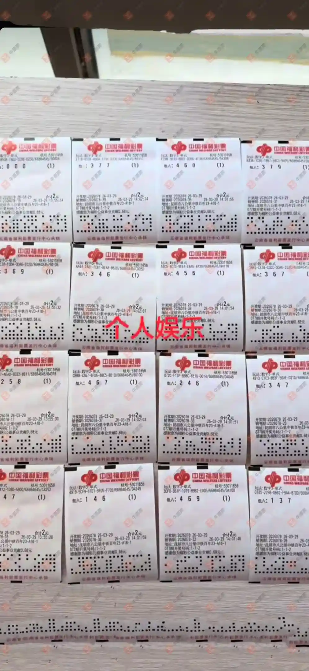 [����3D] 26078�ڣ�������̦����ɹƱ293 / ����:������̦ / ����ID:1233619