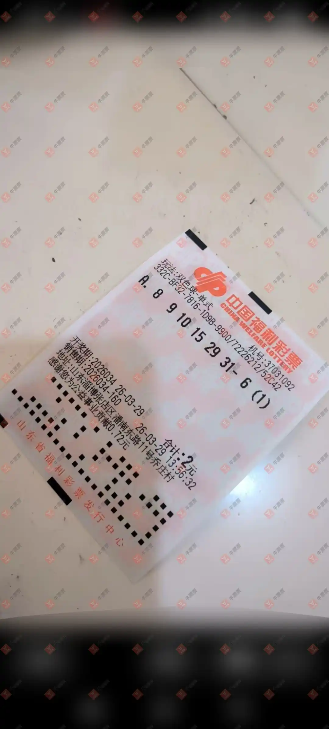 [˫ɫ��] 26034�ڣ���׼���ʴ�ʦ����ɹƱ847 / ����:��׼���ʴ�ʦ / ����ID:1233705