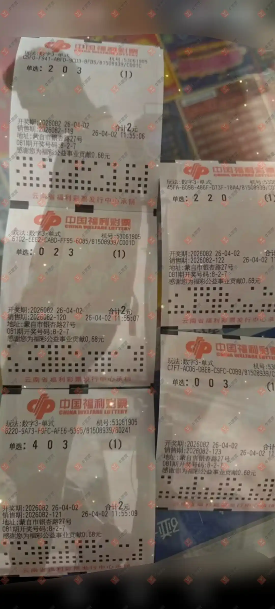 [����3D] 26082�ڣ����_423138����ɹƱ88 / ����:���_423138 / ����ID:1236013