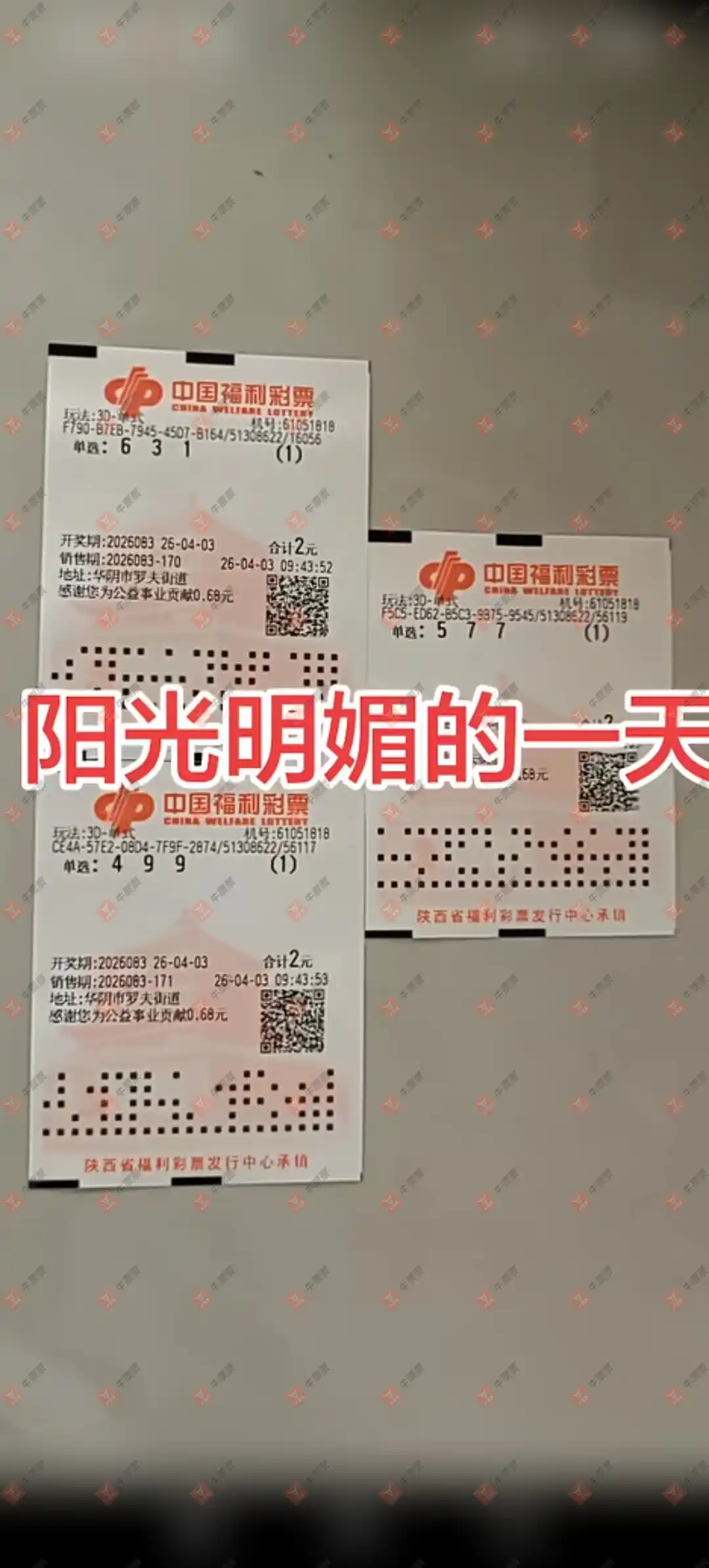 [����3D] 26083�ڣ����Ľ��ǽ���ɹƱ199 / ����:���Ľ��� / ����ID:1236516