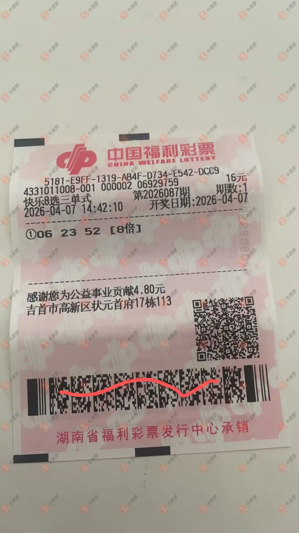 [����8] 26087�ڣ����_423138����ɹƱ531 / ����:���_423138 / ����ID:1238920