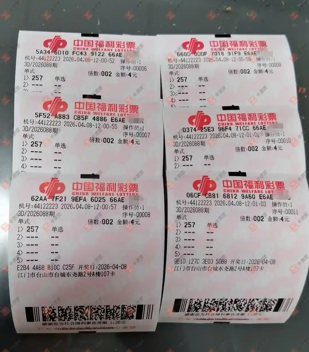 [����3D] 26088�ڣ��û�9153����ɹƱ262 / ����:�û�9153 / ����ID:1239475