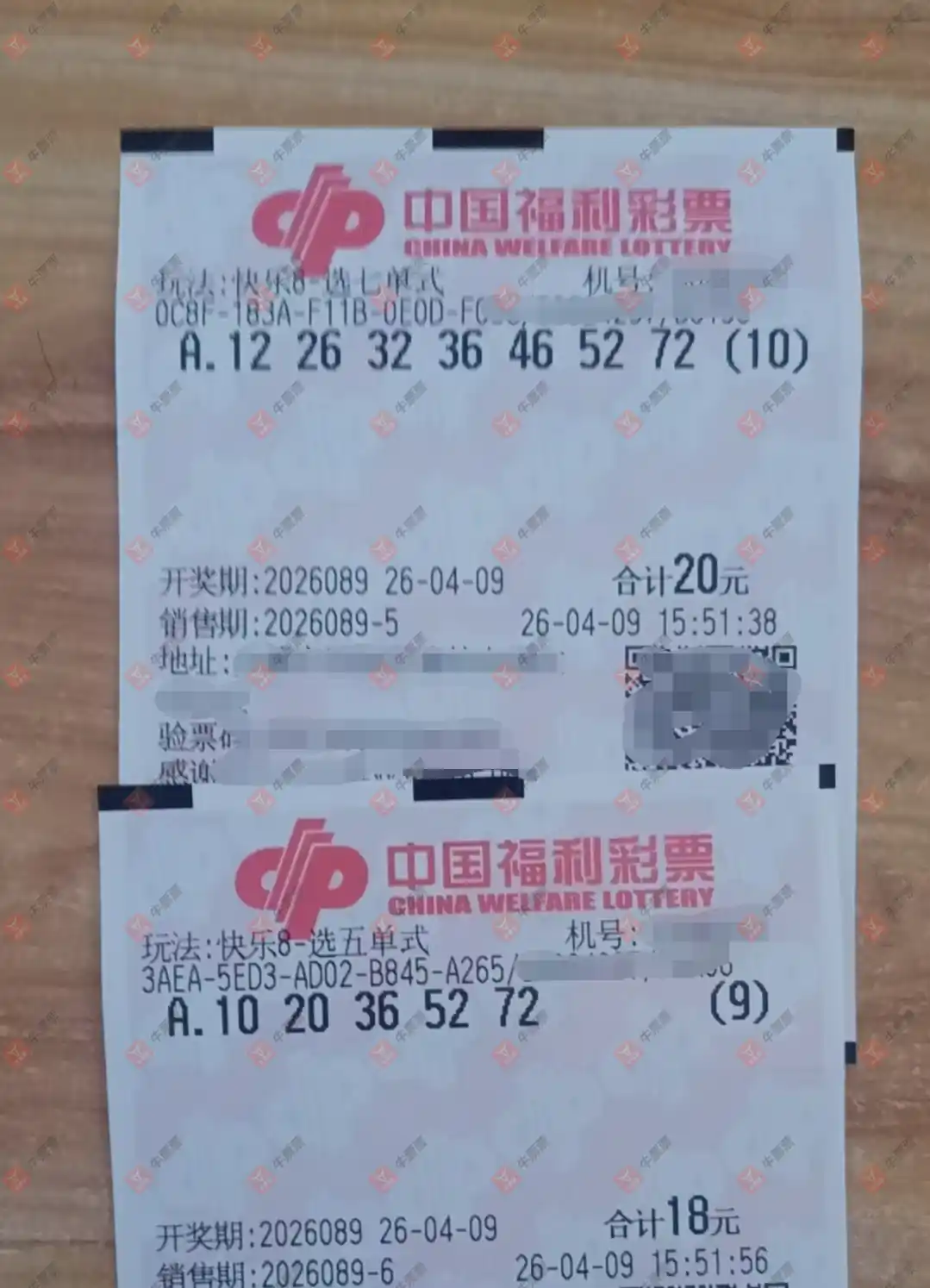 [����8] 26089�ڣ���һĨ�������ɹƱ759 / ����:��һĨ���� / ����ID:1240110