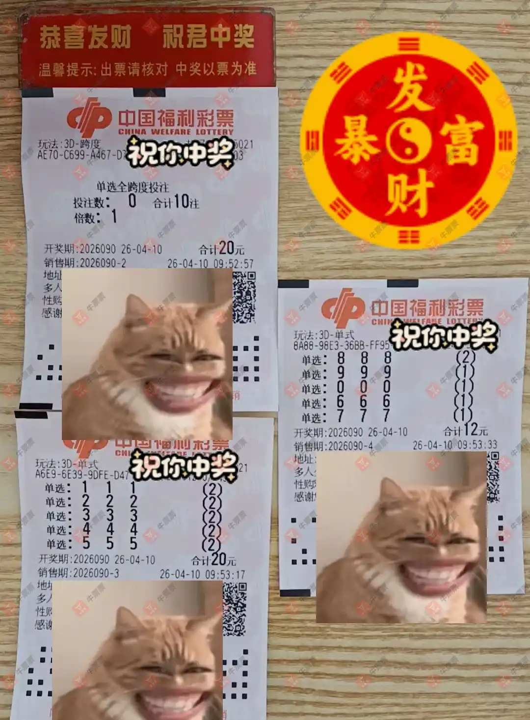 [����3D] 26090�ڣ�֪ʶ̽���߽���ɹƱ421 / ����:֪ʶ̽���� / ����ID:1240523