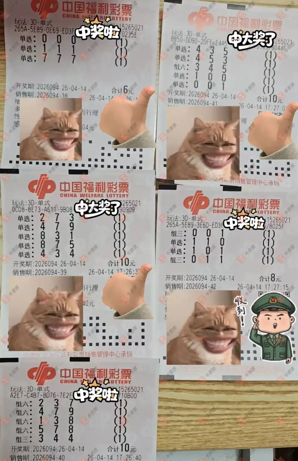 [����3D] 26094�ڣ���һĨ�������ɹƱ813 / ����:��һĨ���� / ����ID:1242972