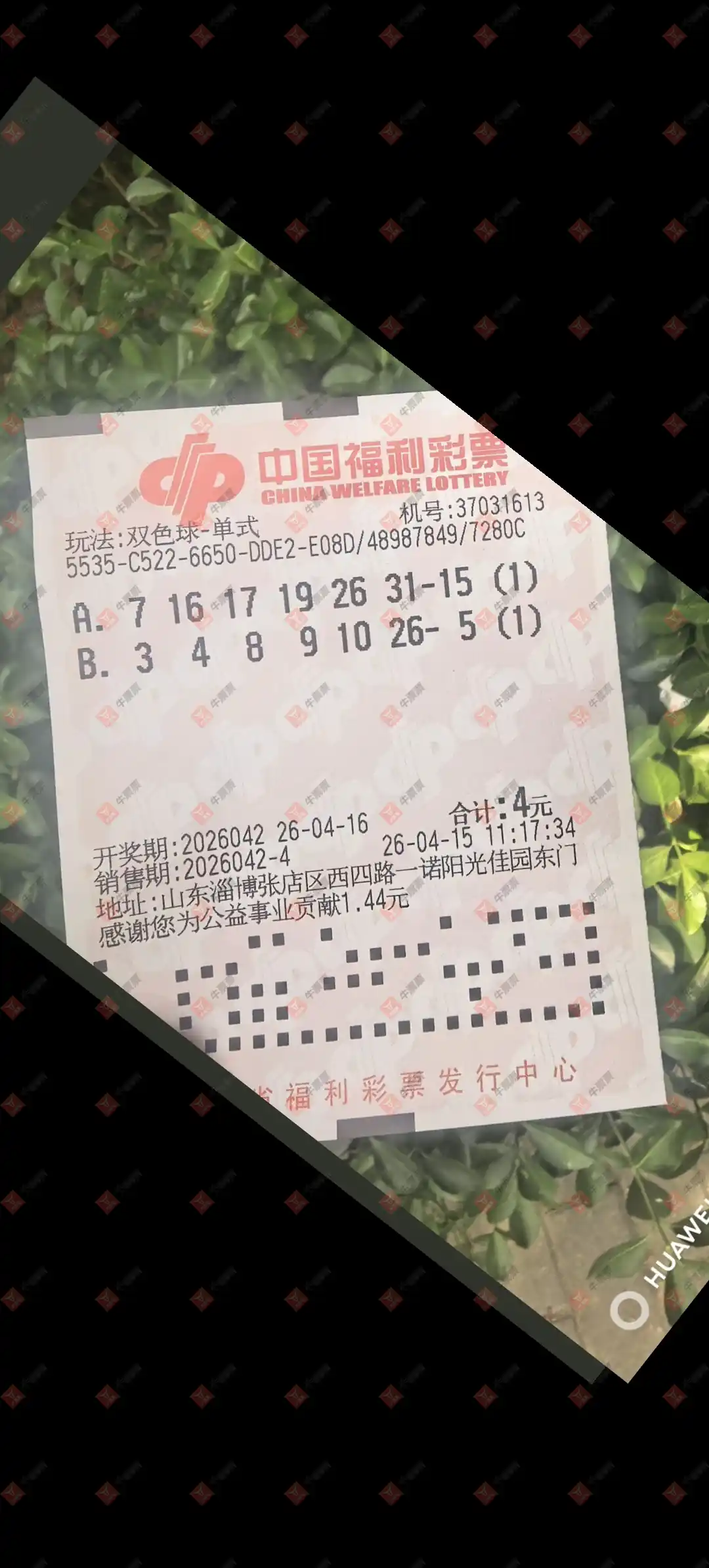 [˫ɫ��] 26042�ڣ��ǻ�֮�ⵥʽ126 / ����:�ǻ�֮�� / ����ID:1243497