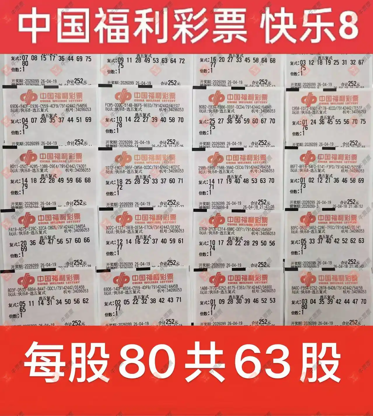 [����8] 26099�ڣ�����ʵƱ�ο����ɲ���801 / ����:������̦ / ����ID:1245852