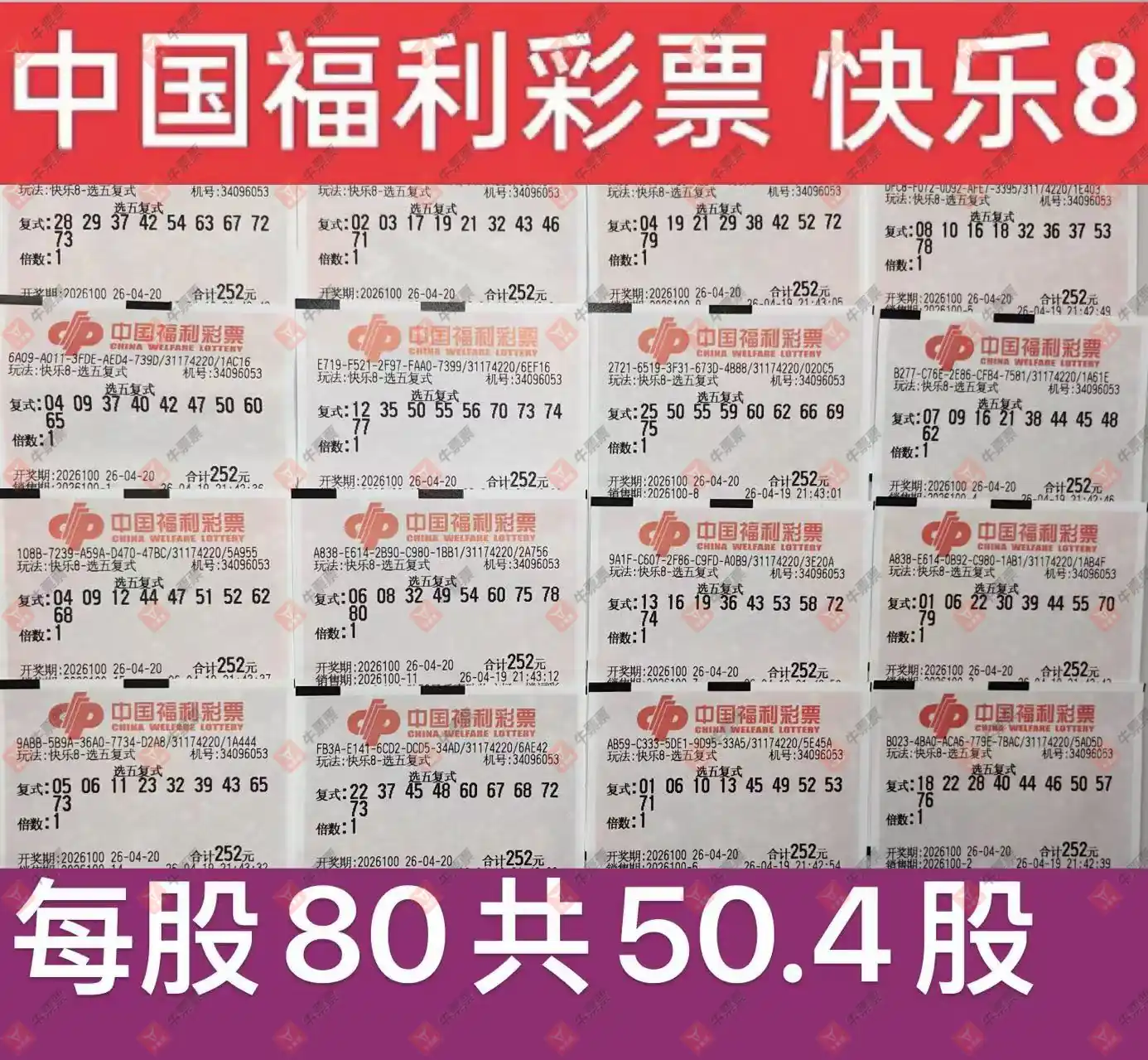 [����8] 26100�ڣ�һ�Ų�Ʊ��ǧ����ܣ�446 / ����:ĺ������ / ����ID:1246449