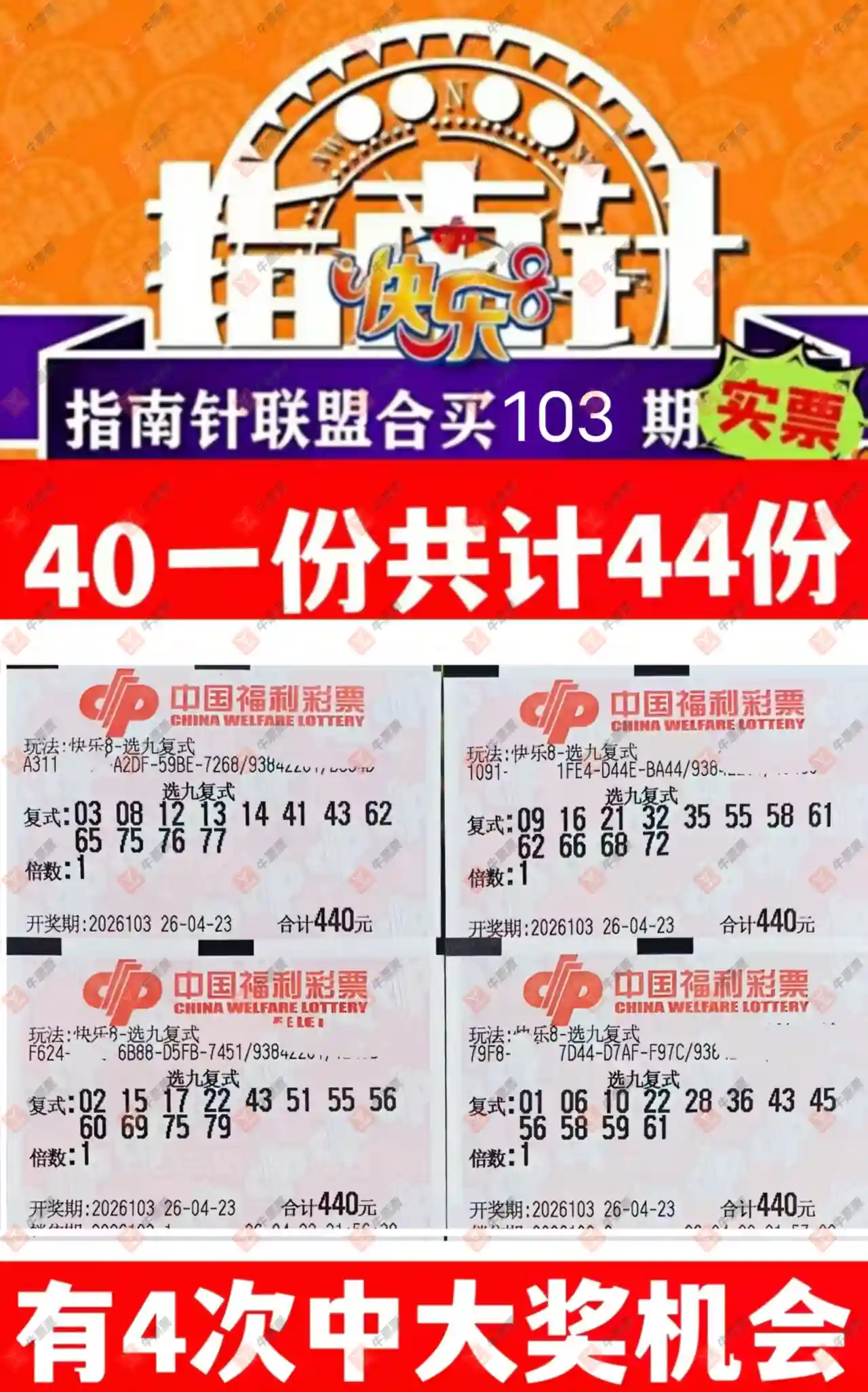 [����8] 26103�ڣ�������̦����ɹƱ244 / ����:������̦ / ����ID:1248233